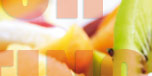 suchmaschinenservice f&uuml;r hotels