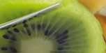 hotel homepage finden